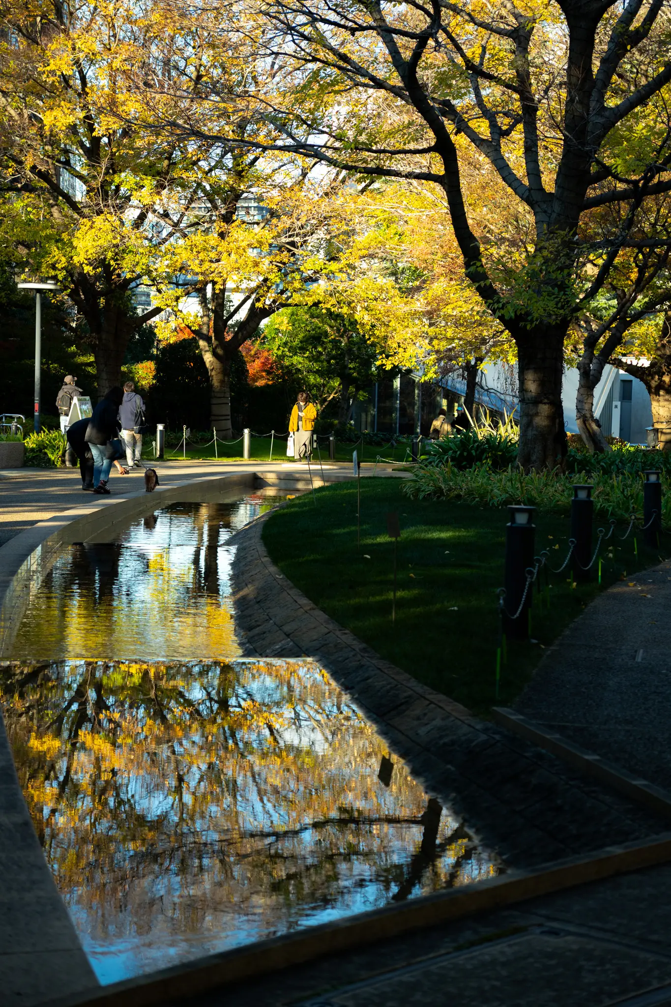 2025年12月5日 06:00 に撮影した写真