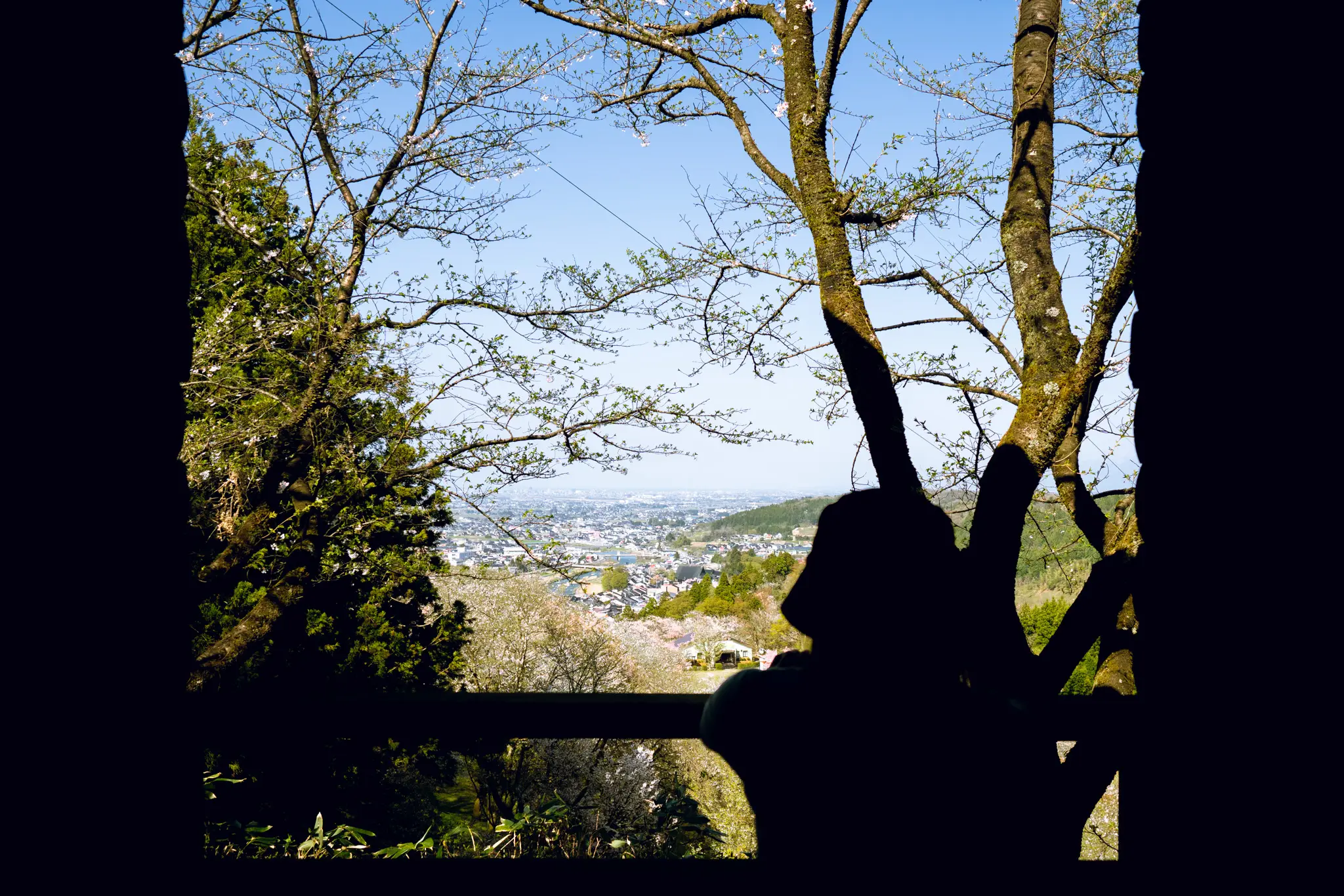 2026年4月11日 05:41 に撮影した写真