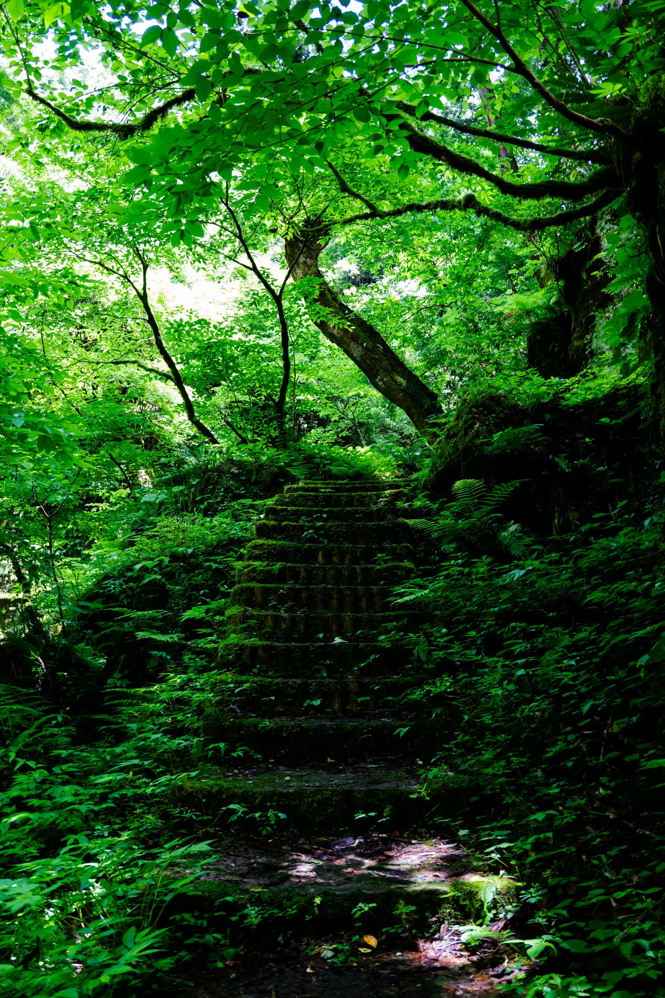 2026年5月23日 04:11 に撮影した写真