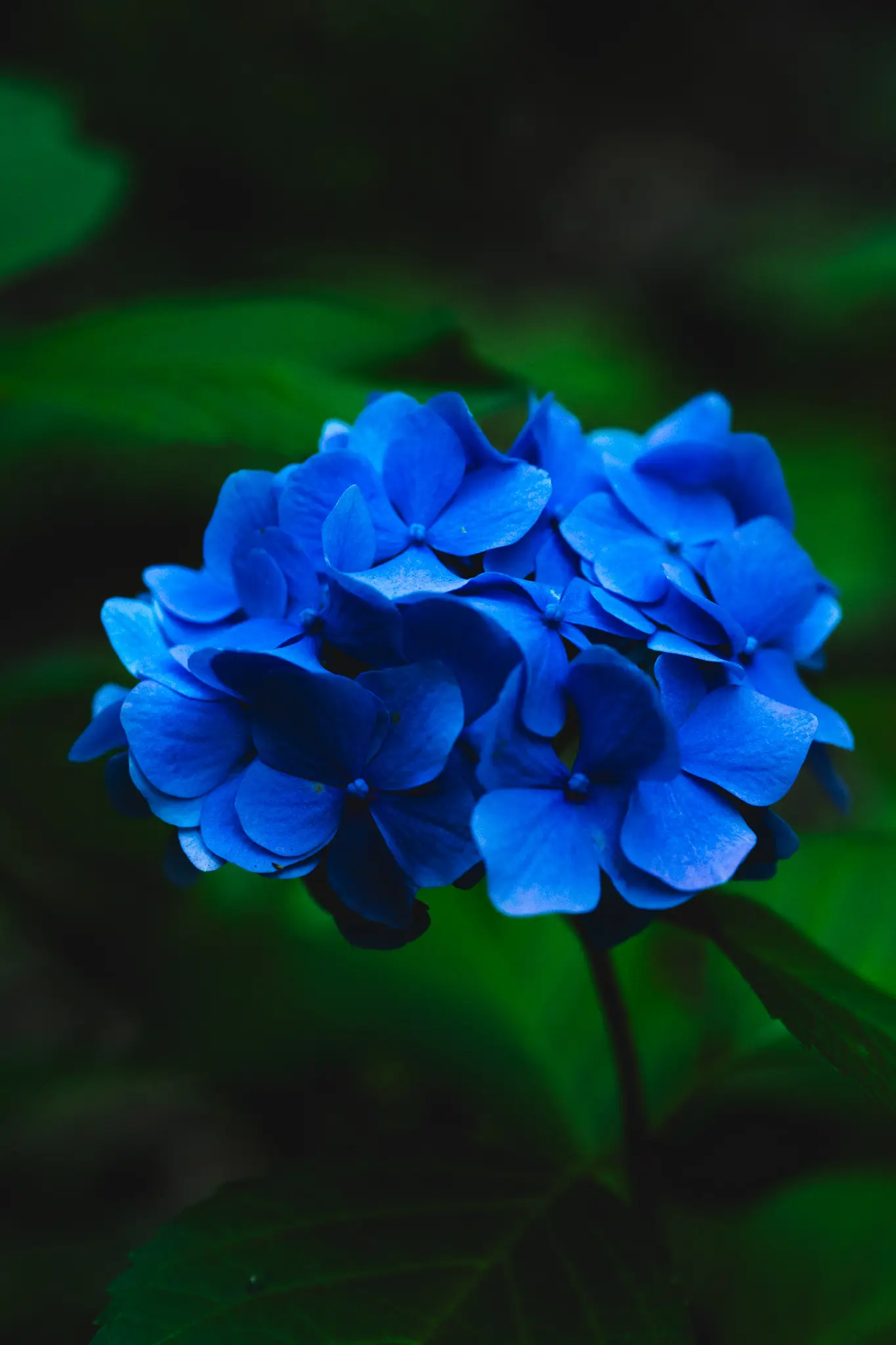 2026年6月27日 09:03 に撮影した写真