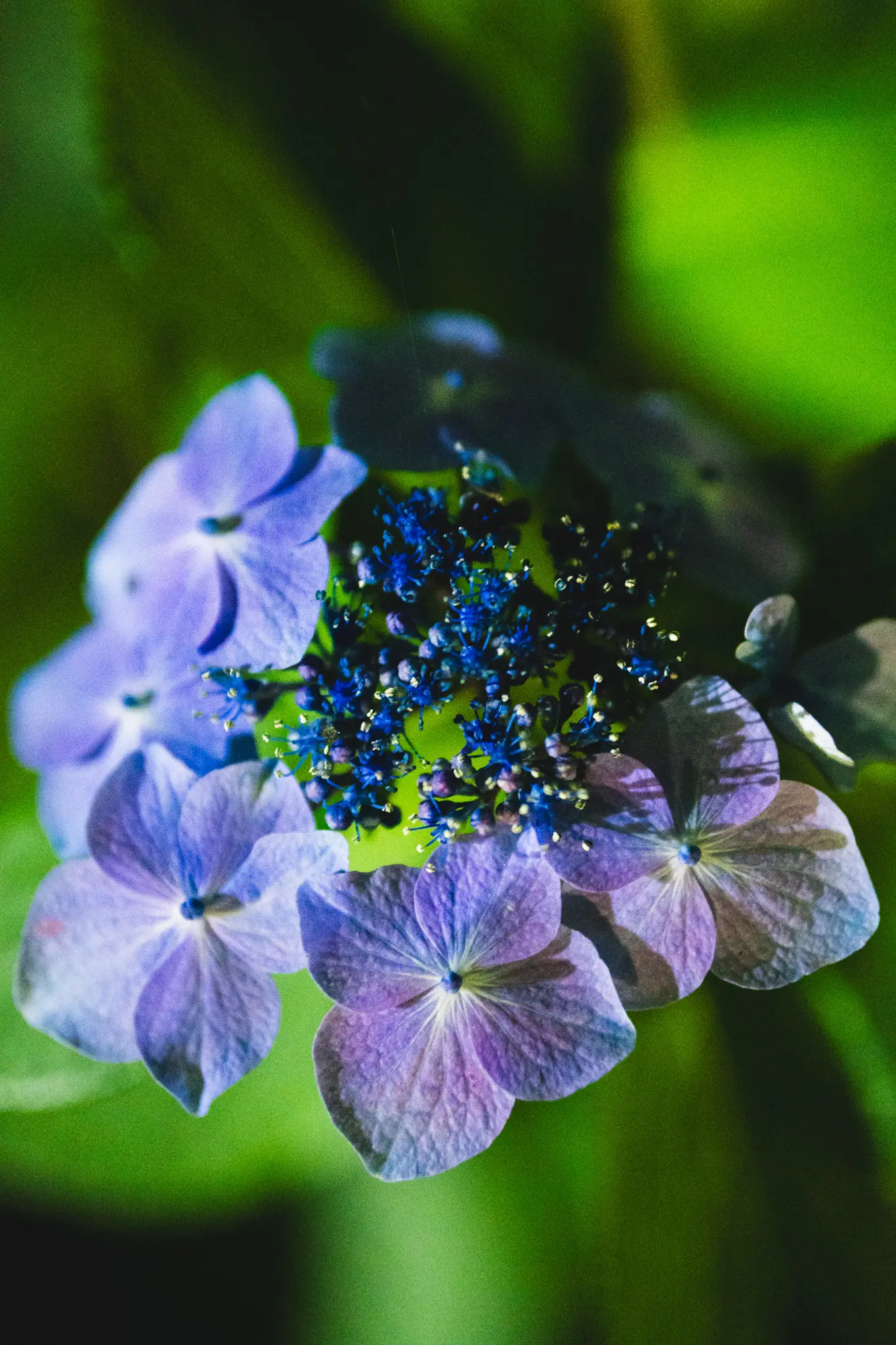 2026年6月27日 11:18 に撮影した写真