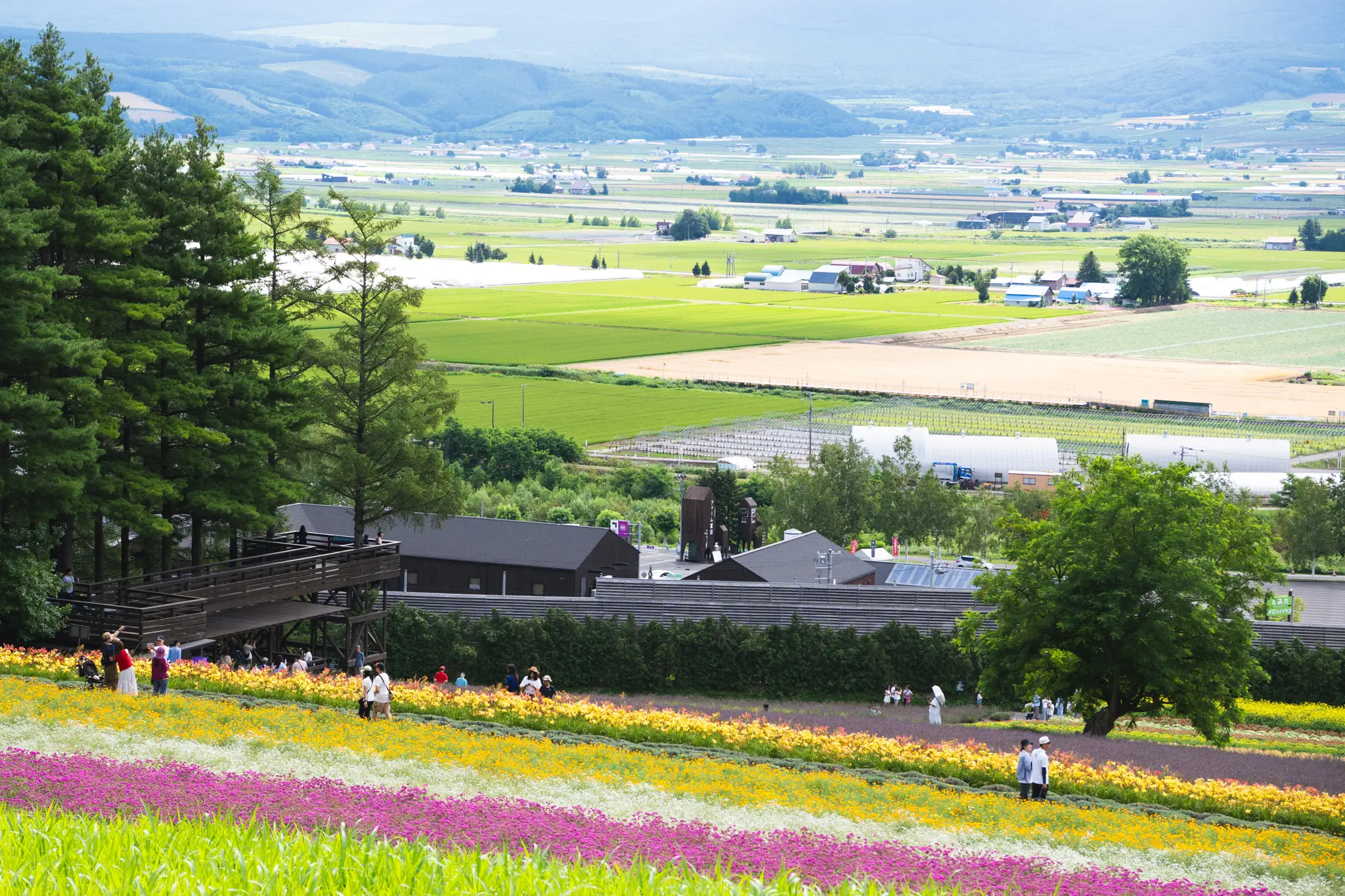 2026年7月25日 23:55 に撮影した写真