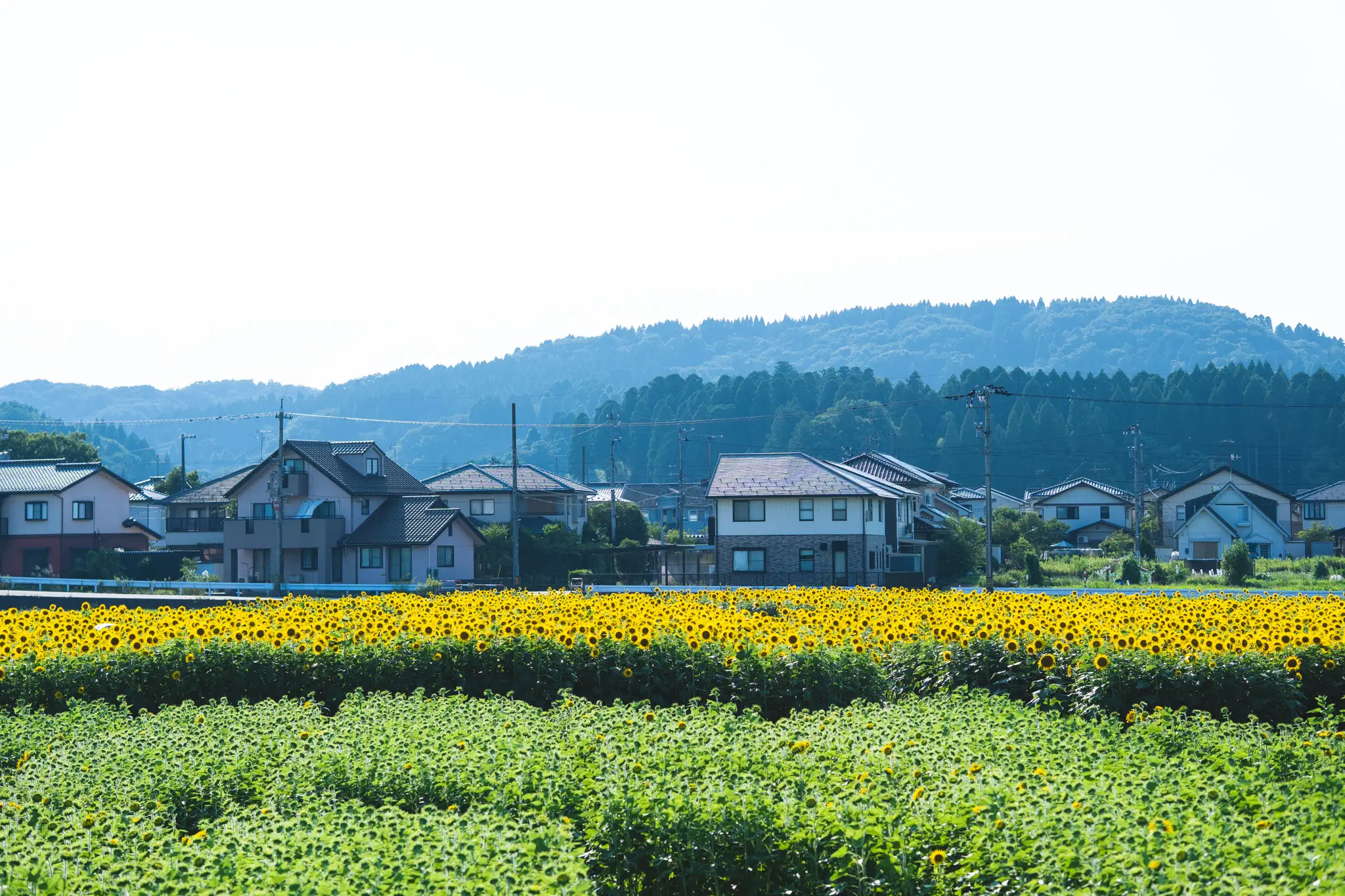 2026年8月5日 07:19 に撮影した写真