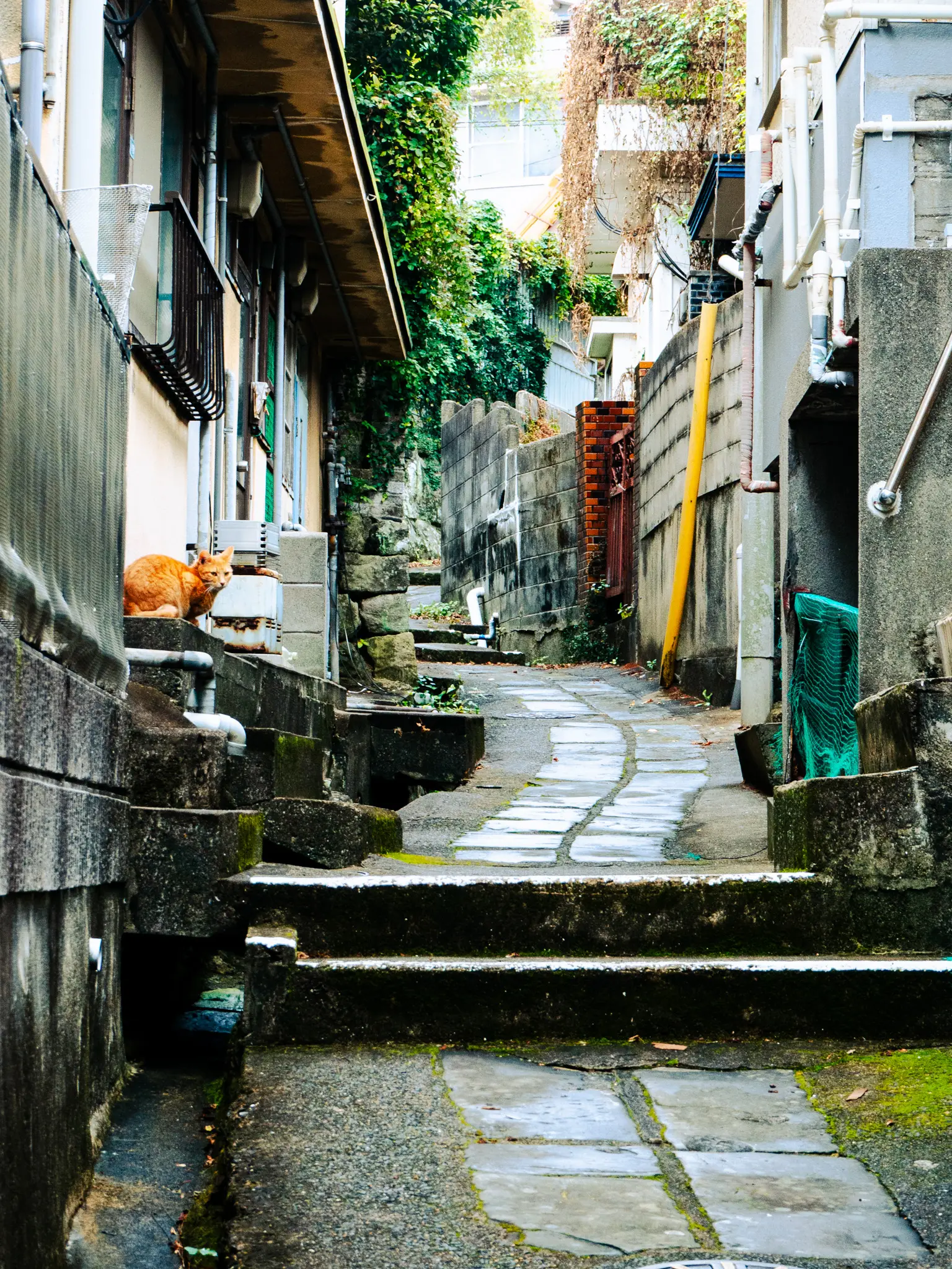 2025年11月23日 15:00 に撮影した写真